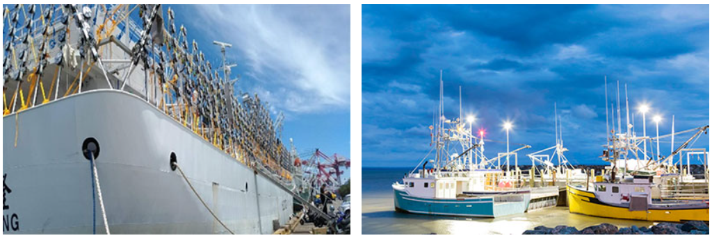 集魚(yú)燈照明